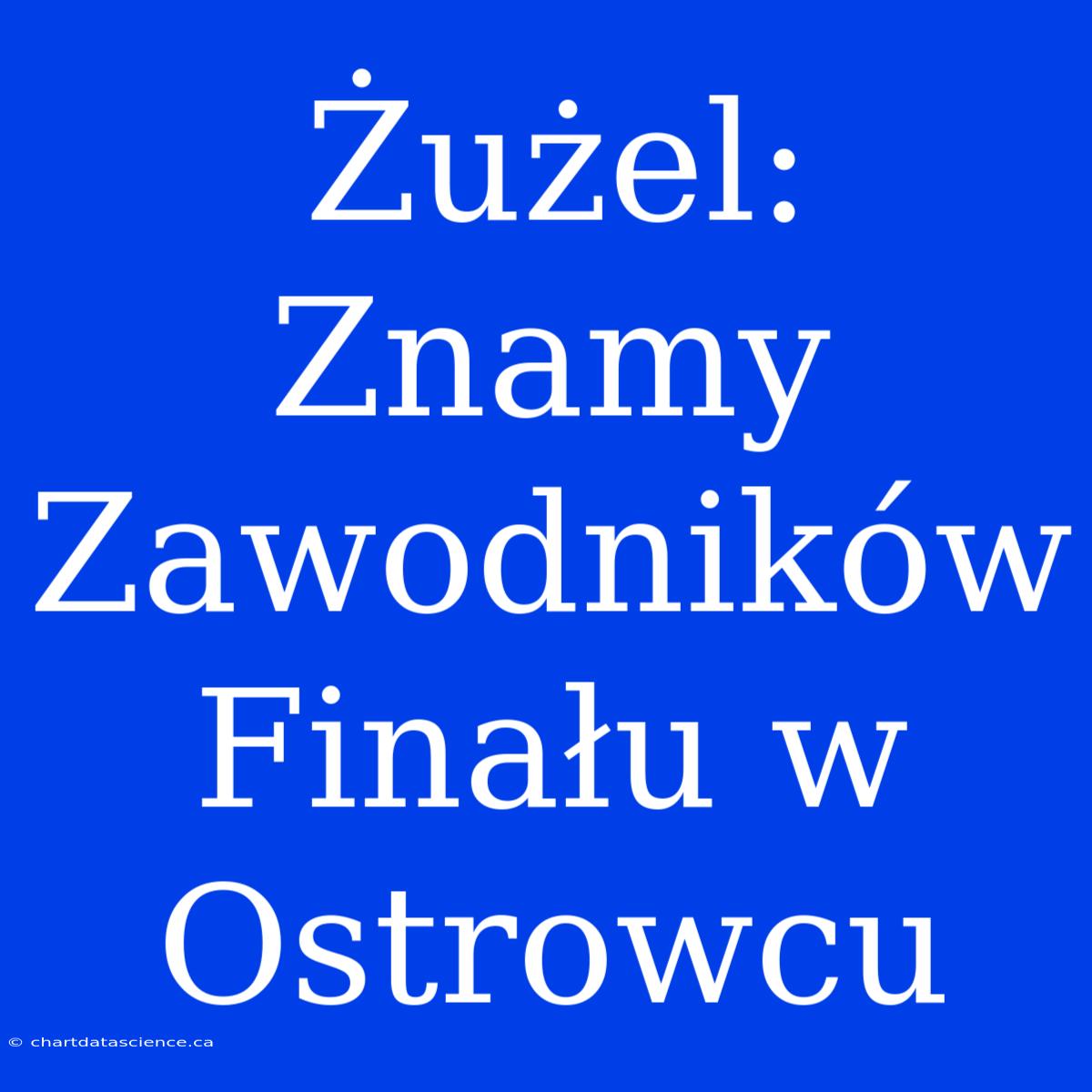 Żużel: Znamy Zawodników Finału W Ostrowcu